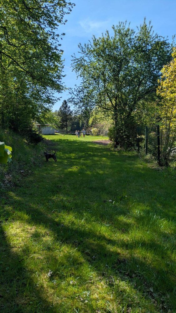  قطعة أرض في Zwickau, Germany رقم 230611