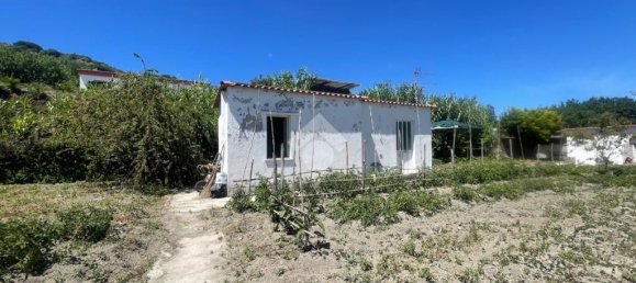 5 bedrooms Villa in Serrara Fontana, Italy No. 83704 44