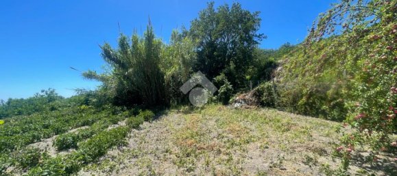 5 bedrooms Villa in Serrara Fontana, Italy No. 83704 37