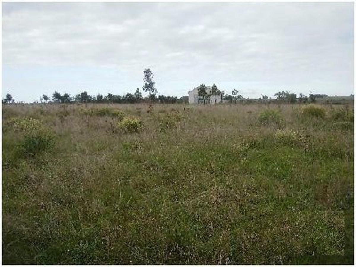 Ферма 19м² в Мальдонадо, Уругвай № 14016