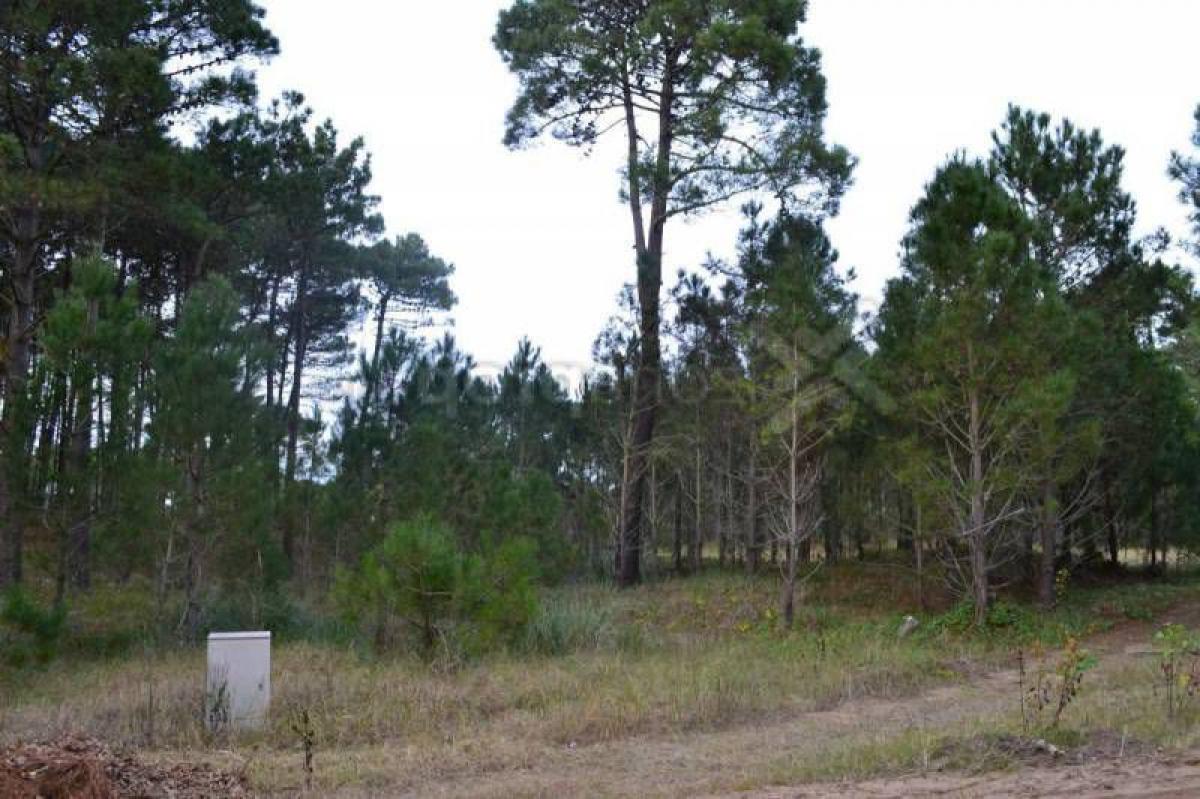  Land in Mar del Plata, Argentina No. 110240