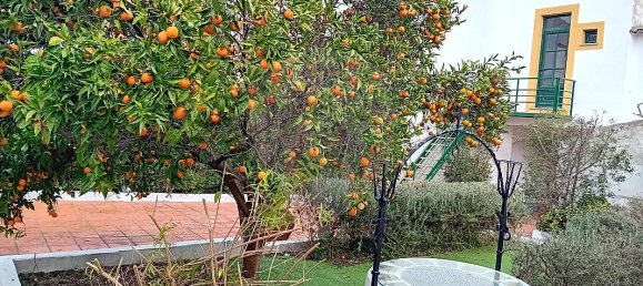 1 غرف نوم منزل في Evora, Portugal رقم 25262 4