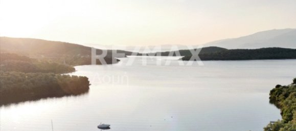 5344m² Hotel in Magnesia, Greece No. 298 2