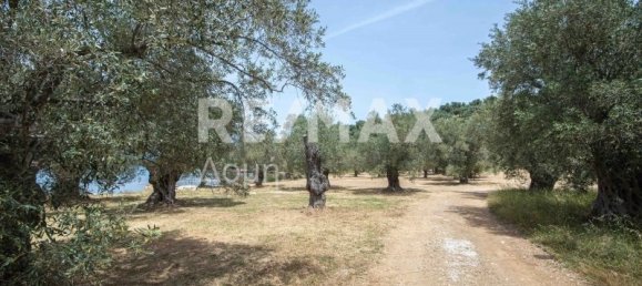 5344m² Land in Magnesia, Greece No. 298 24