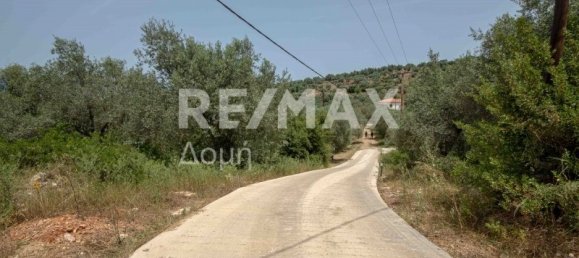 5344m² Land in Magnesia, Greece No. 298 12