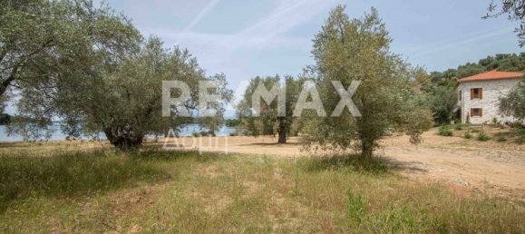 5344m² Hotel in Magnesia, Greece No. 298 21