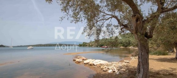 5344m² Land in Magnesia, Greece No. 298 16