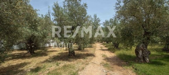 5344m² Hotel in Magnesia, Greece No. 298 23