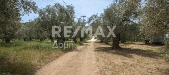 5344m² Hotel in Magnesia, Greece No. 298 25