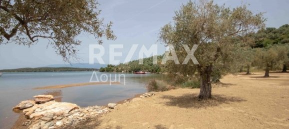 5344m² Land in Magnesia, Greece No. 298 14