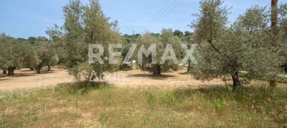 5344m² Land in Magnesia, Greece No. 298 22