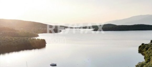 5344m² Land in Magnesia, Greece No. 298 2