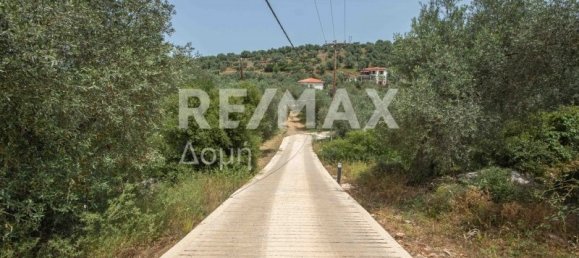 5344m² Land in Magnesia, Greece No. 298 13