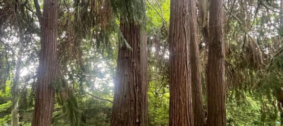 1024m² Building in Biella, Italy No. 268572 18