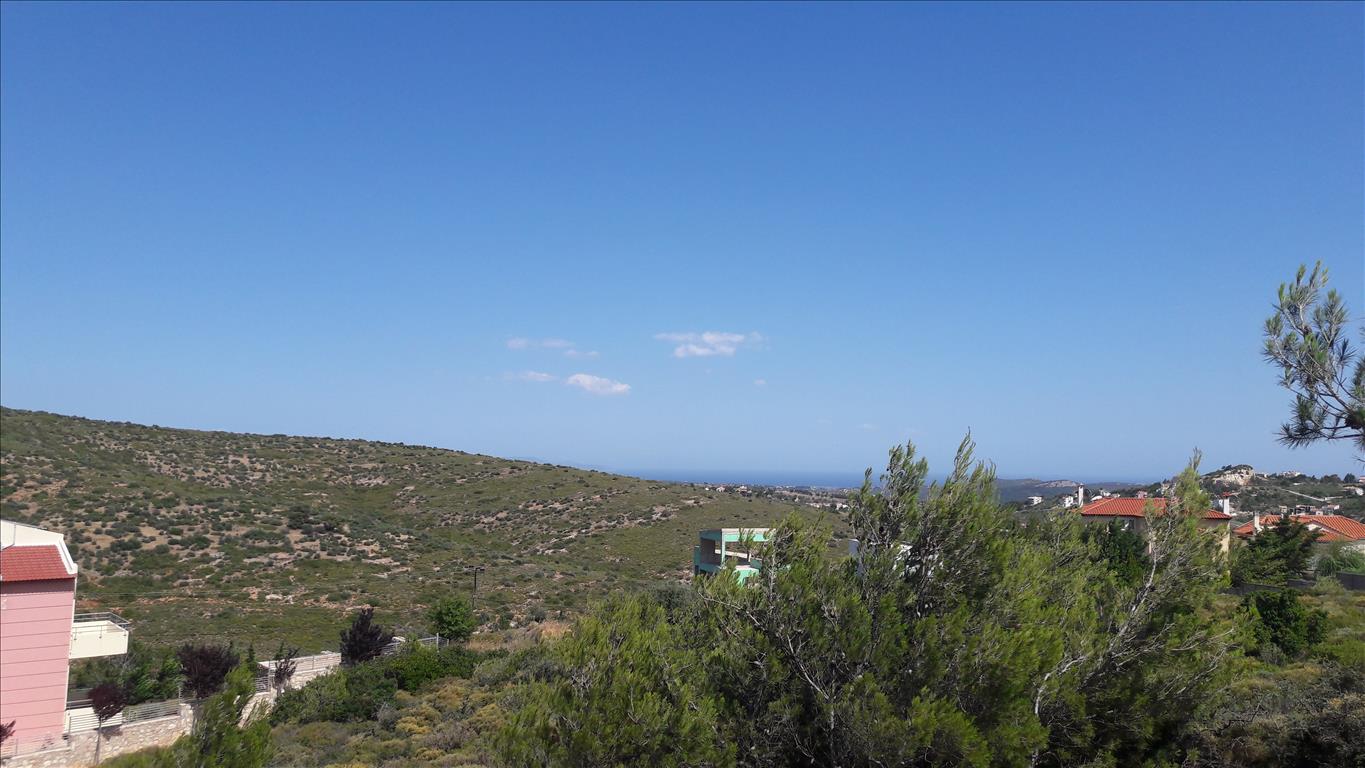 2786 m² hotel en venta en Pikermi, Rafina-Pikermi, East Attica, Attica, Greece № 5078