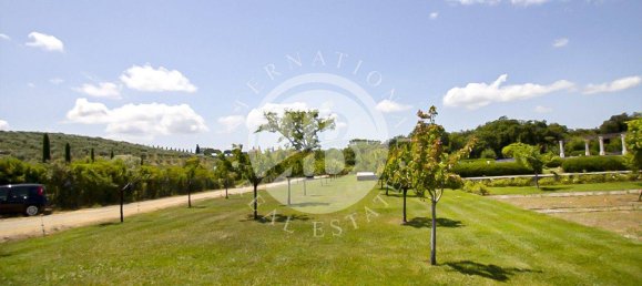 20 chambres Villa à Massa Marittima, Italy No. 233390 32