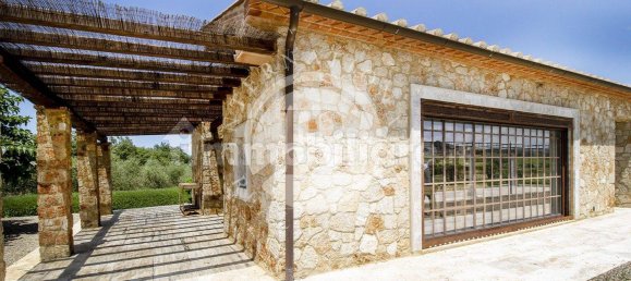 20 chambres Villa à Massa Marittima, Italy No. 233390 42