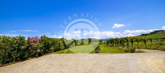 20 chambres Villa à Massa Marittima, Italy No. 233390 26