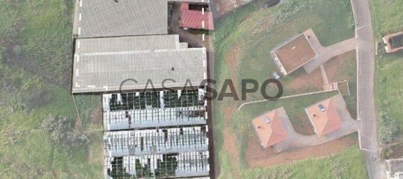 5000m² Land in Calheta, Portugal No. 111375 2