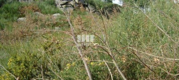 5810m² Land in Marco de Canaveses, Portugal No. 56169 2