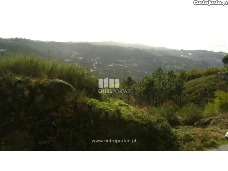 5810m² Land in Marco de Canaveses, Portugal No. 56169