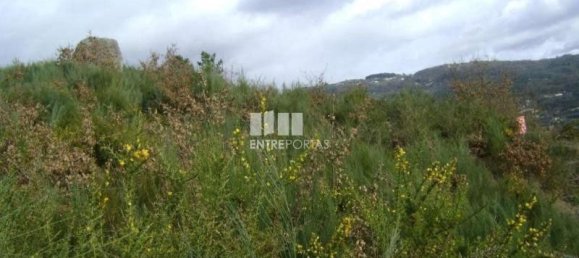 5810m² Land in Marco de Canaveses, Portugal No. 56169 4