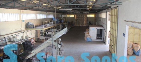 1087m² Warehouse in Lourosa, Portugal No. 54009 2