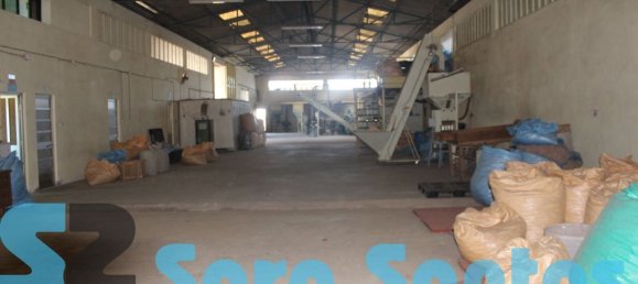 1087m² Warehouse in Lourosa, Portugal No. 54009 10