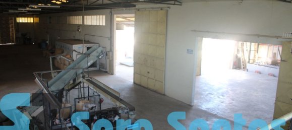 1087m² Warehouse in Lourosa, Portugal No. 54009 9