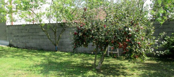 2 rooms House in Kaisersdorf, Austria No. 233747 20