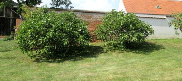 2 rooms House in Kaisersdorf, Austria No. 233747 19