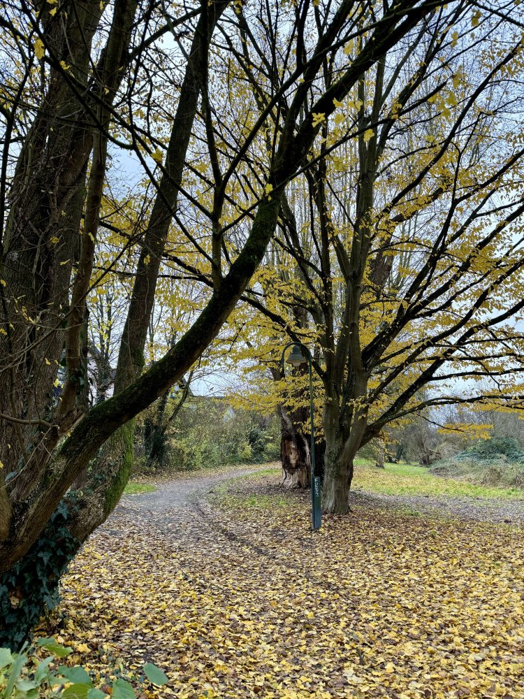 6 غرف نوم تاون هاوس في Main-Kinzig, Germany رقم 164923