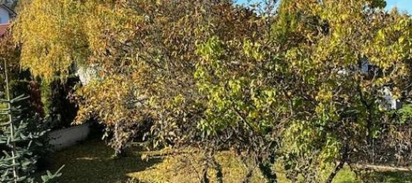 6 غرف نوم تاون هاوس في Main-Kinzig, Germany رقم 164923 9