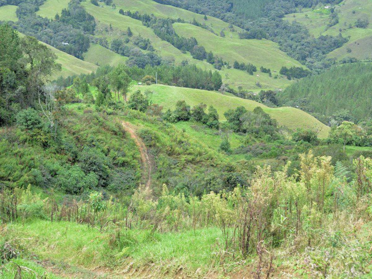  Land in Antioquia, Colombia No. 129