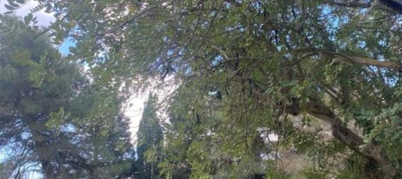 8-Zimmer Villa in Salemi, Italy, Nr. 34888 28