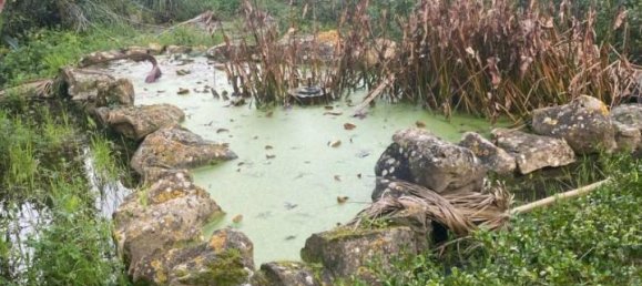 8-Zimmer Villa in Salemi, Italy, Nr. 34888 79