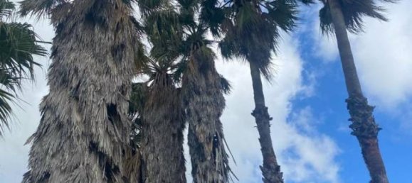 8-Zimmer Villa in Salemi, Italy, Nr. 34888 38