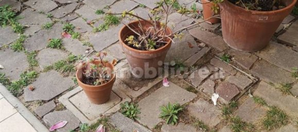 Casa T3 em Cavriglia, Italy N.º 223294 23