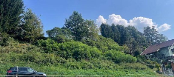  قطعة أرض في Paternion, Austria 997متر مربع رقم 117746 2