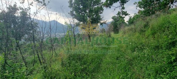 2551m² Land in Montoro, Italy No. 135142 6