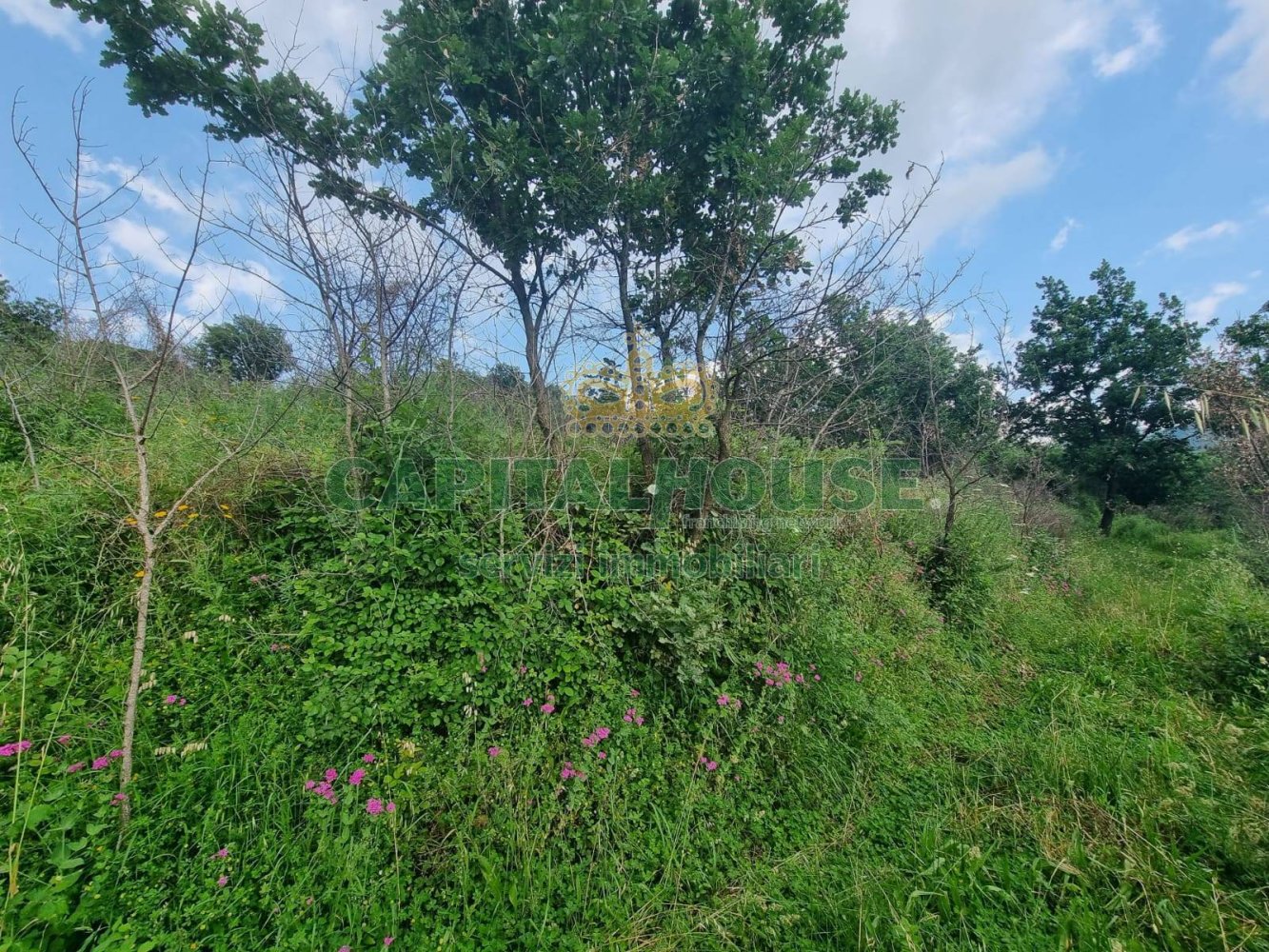 2551m² Land in Montoro, Italy No. 135142