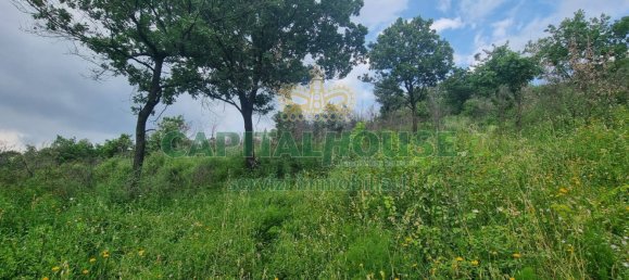 2551m² Land in Montoro, Italy No. 135142 10
