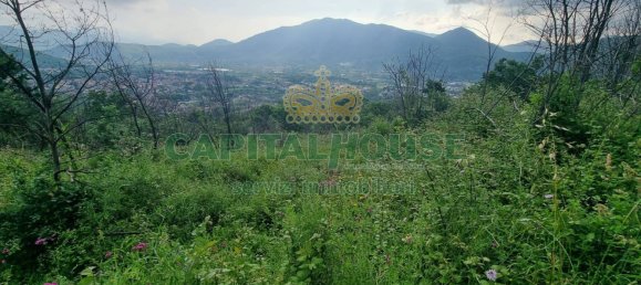 2551m² Land in Montoro, Italy No. 135142 3
