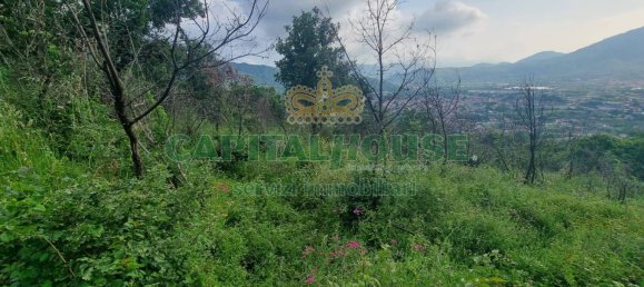 2551m² Land in Montoro, Italy No. 135142 4