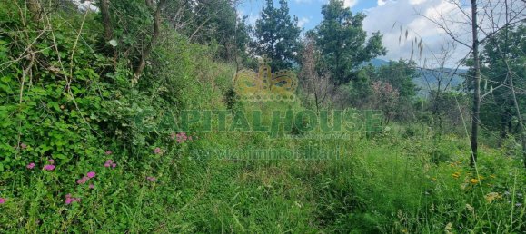 2551m² Land in Montoro, Italy No. 135142 2