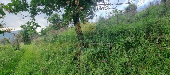 2551m² Land in Montoro, Italy No. 135142 5