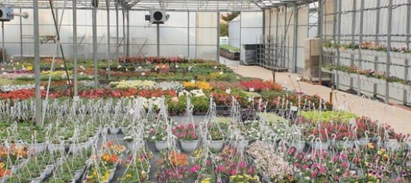 Casa de 4 dormitorios en Thionville, France No. 86323 7