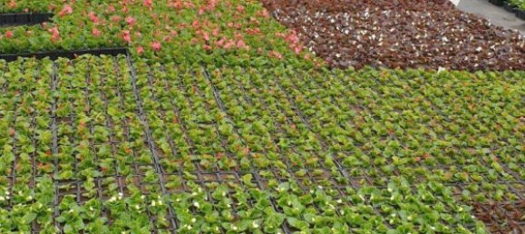 Casa de 4 dormitorios en Thionville, France No. 86323 10