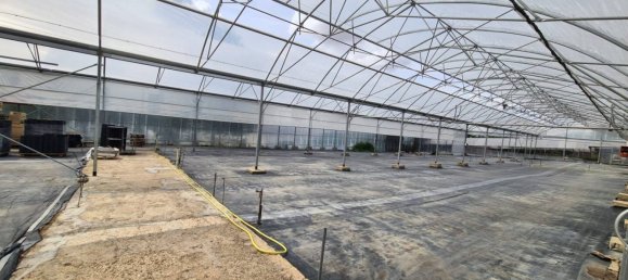 Casa de 4 dormitorios en Thionville, France No. 86323 3