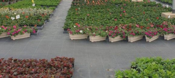 Casa de 4 dormitorios en Thionville, France No. 86323 9